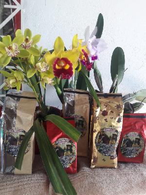 cafe tostado variedades geisha, castillo